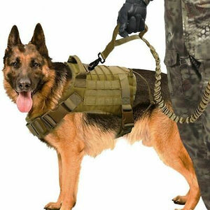 K9 Accessories