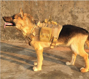RECON GS2 K9 Tactical Harness 5 Piece Set
