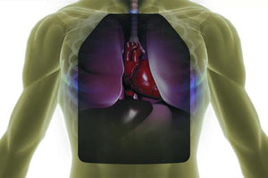 stab prof vest,stab proof plate