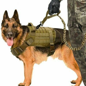 RECON GS2 Tactical K9 Dog leash/lead